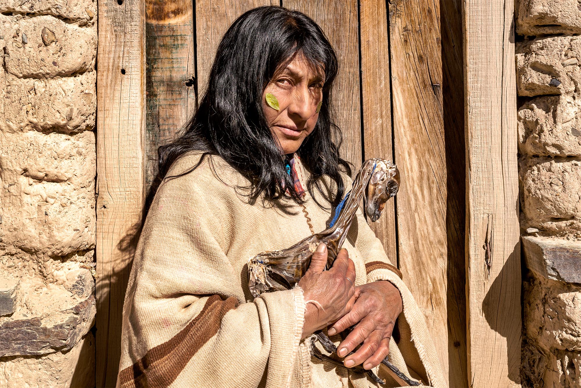 Marco Vernaschi_ANTIDOTE