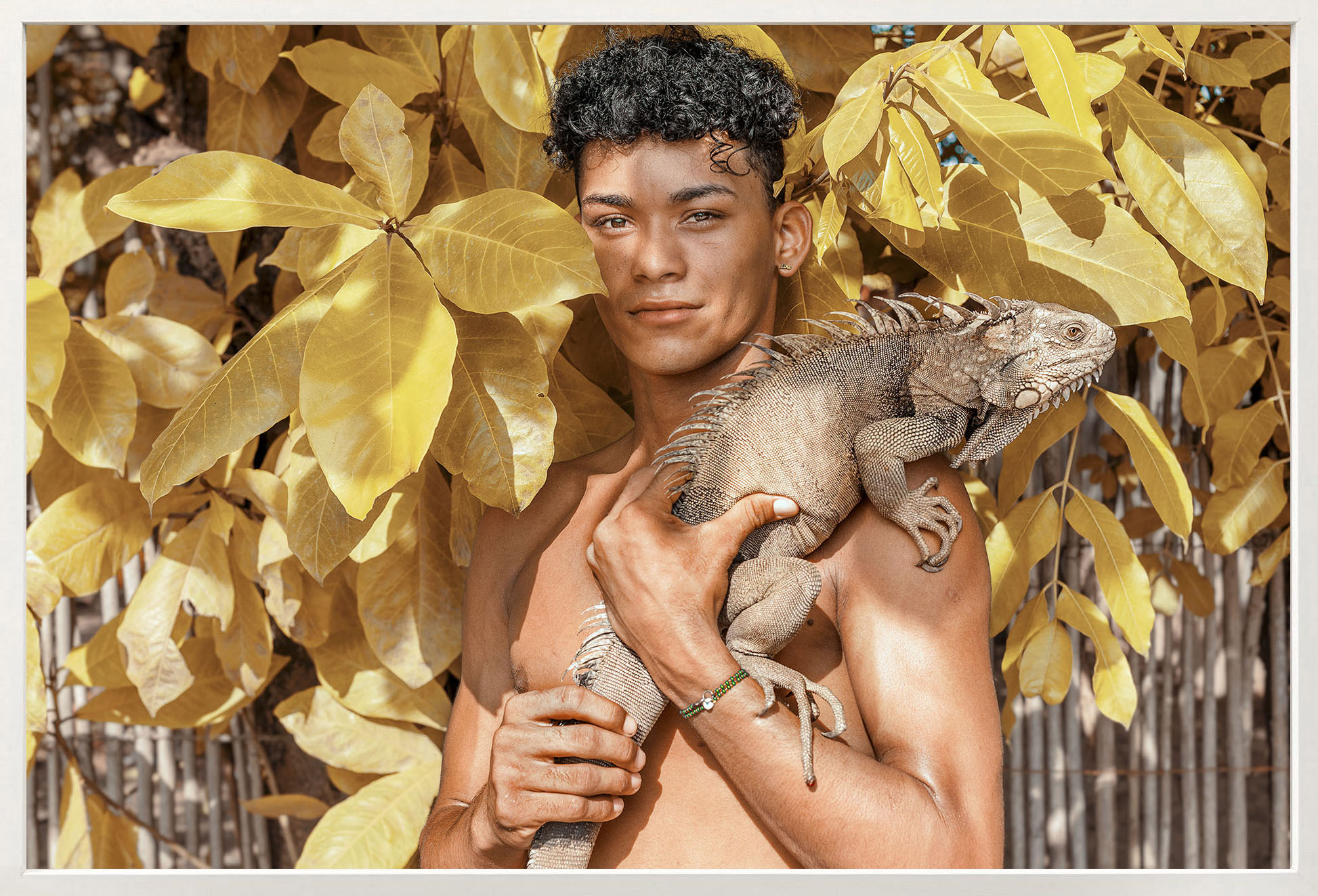 Marco Vernaschi_MACONDO