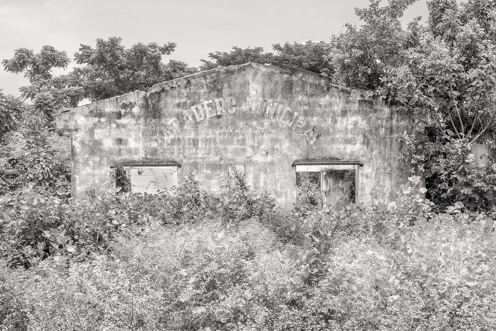 MARCO VERNASCHI_Las Cienagas