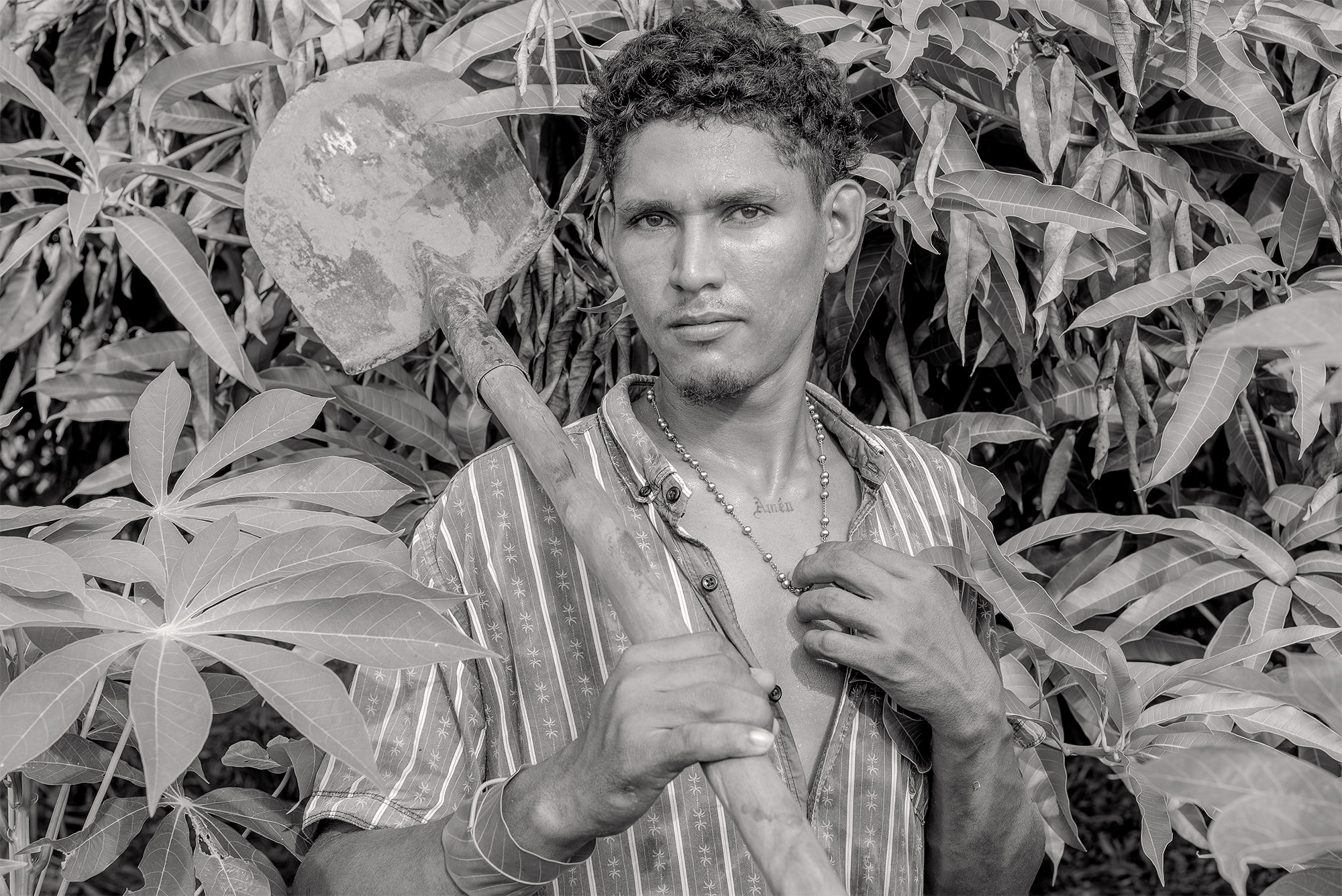 MARCO VERNASCHI_Las Cienagas