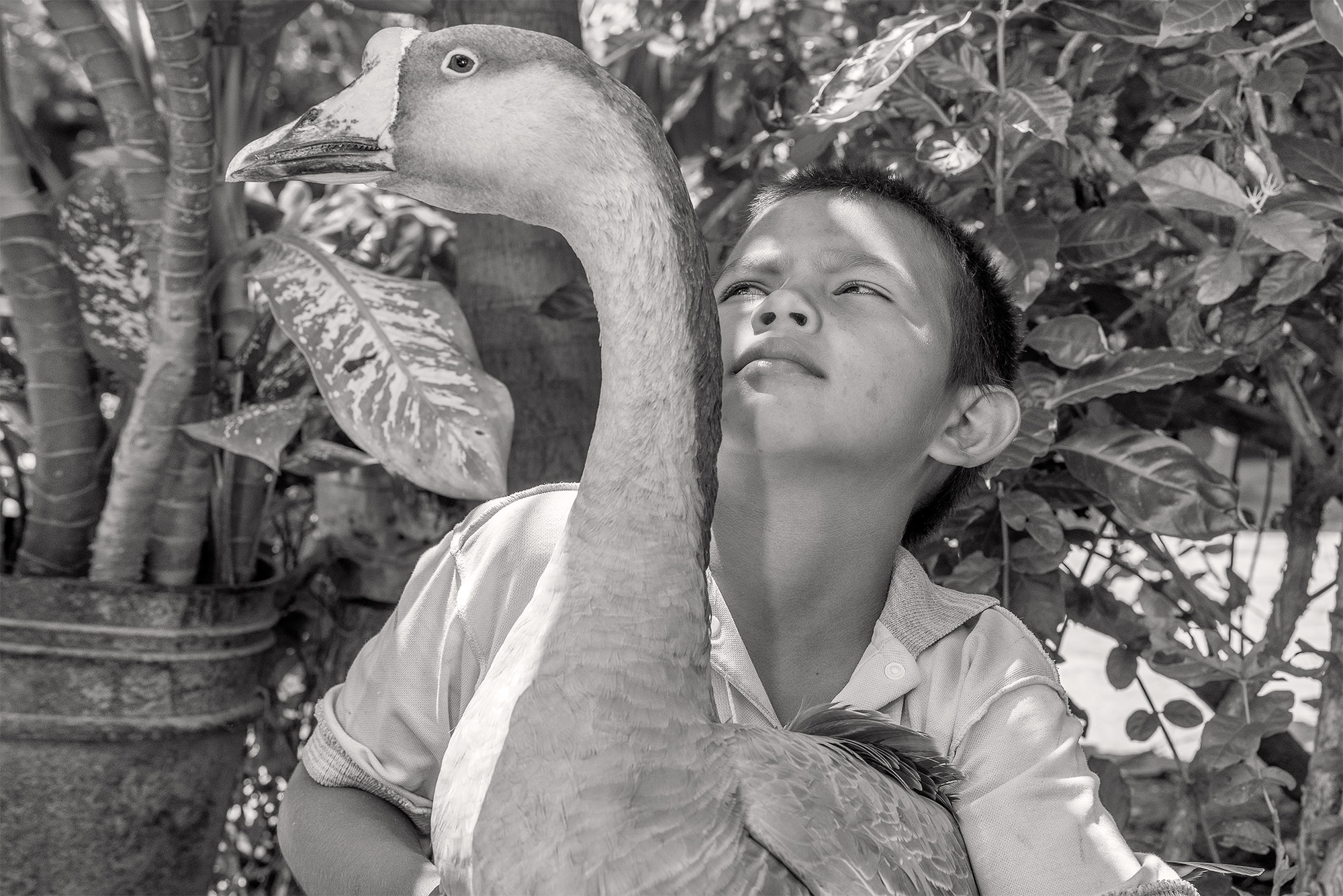 MARCO VERNASCHI_Las Cienagas